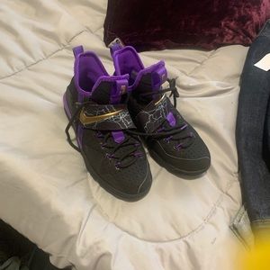 Nike Lebrons